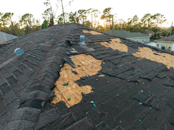 Best Roof Leak Repair  in Beaver Dam, KY